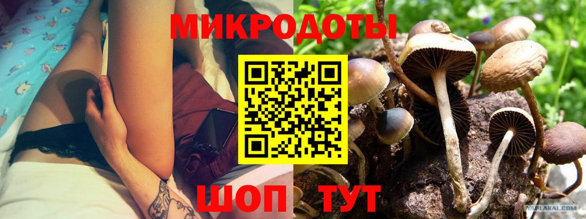 Нововоронеж  Галлюциногенные грибы прущие грибы  Вход с VPN  купить наркотик  Галлюциногенные грибы Psilocybe 