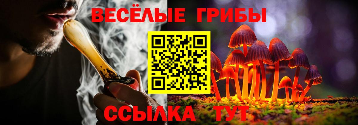 Псилоцибиновые грибы MAGIC MUSHROOMS Нововоронеж